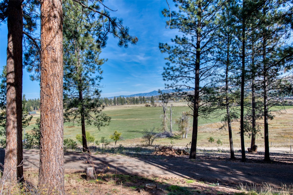 Photo of 560 Camas Creek Loop, Hamilton, MT 59840 (MLS # 30080130)