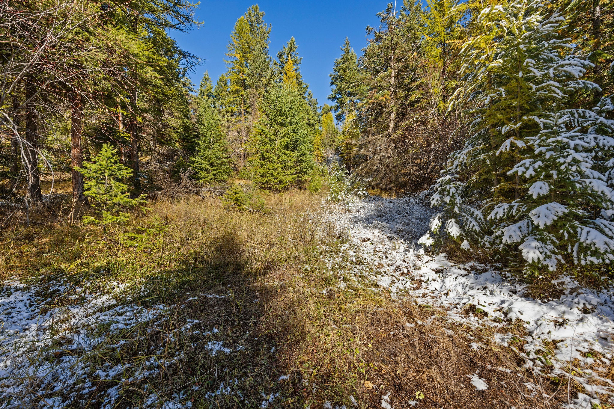 1426 Bierney Creek Road