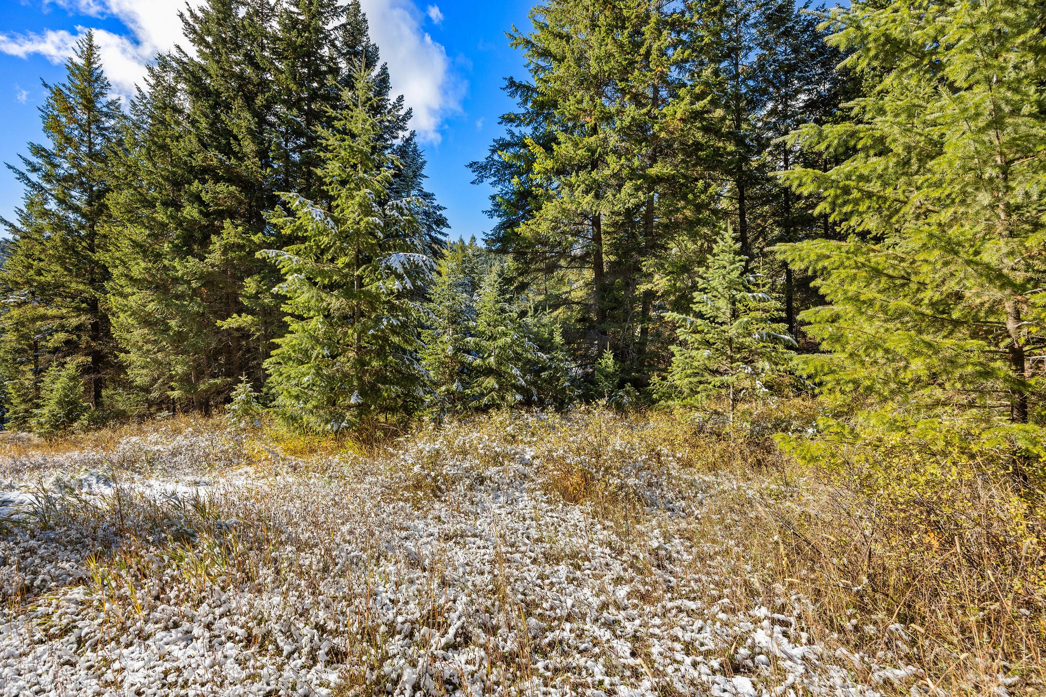 1426 Bierney Creek Road