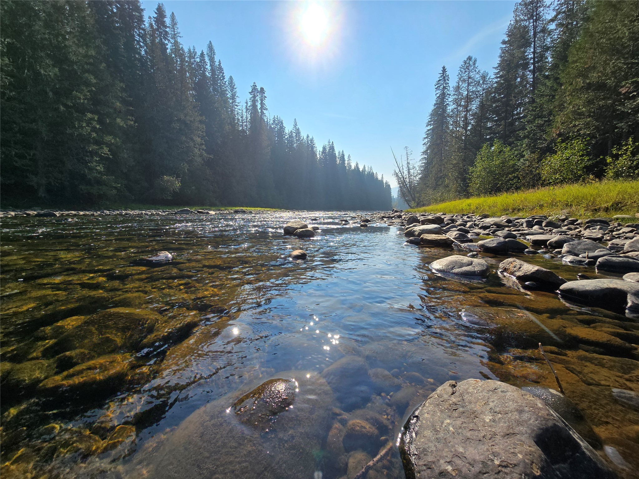 401 Western Larch Lane