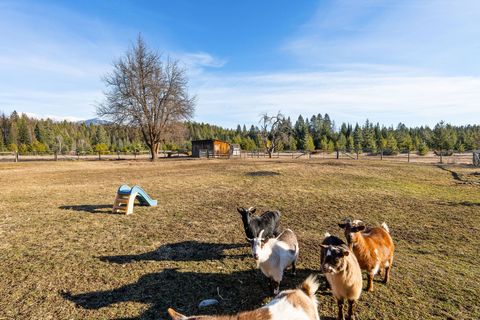 Tiny photo for 203 Muth Lane, Kalispell, MT 59901 (MLS # 30065530)