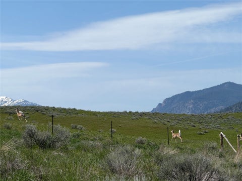 Tiny photo for 49 Forder Lane, Plains, MT 59859 (MLS # 30073543)