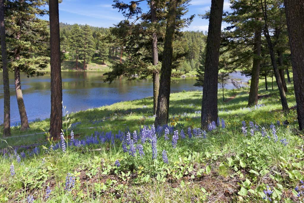 Photo of Lot 3 Big Waters Ranch Road, Seeley Lake, MT 59868 (MLS # 30072676)
