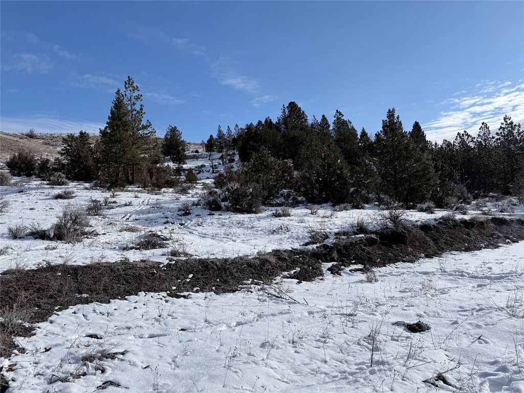 Photo of Lot 19A Willow Creek Road, Deer Lodge, MT 59722 (MLS # 30065115)