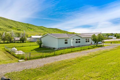 Tiny photo for 124 Broadway Avenue E, Highwood, MT 59450 (MLS # 30073282)