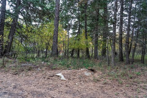 Tiny photo for 1327 1st Avenue E, Columbia Falls, MT 59912 (MLS # 30060949)