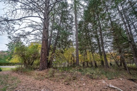 Tiny photo for 1327 1st Avenue E, Columbia Falls, MT 59912 (MLS # 30060949)
