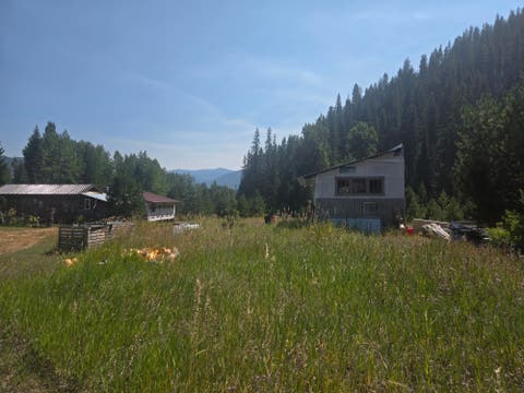 Tiny photo for 77 Wildwood Drive, De Borgia, MT 59830 (MLS # 30076326)