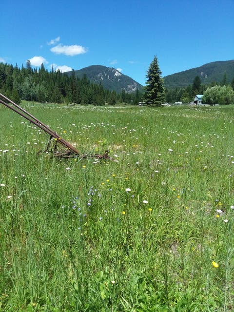 Photo of 77 Wildwood Drive, De Borgia, MT 59830 (MLS # 30076326)