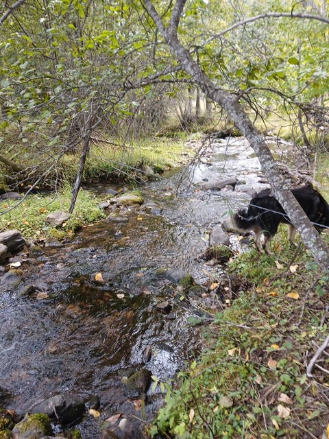 Tiny photo for 77 Wildwood Drive, De Borgia, MT 59830 (MLS # 30076326)