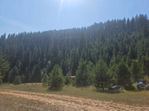 Tiny photo for 77 Wildwood Drive, De Borgia, MT 59830 (MLS # 30076326)
