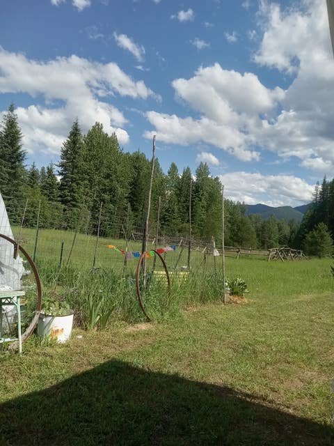 Tiny photo for 77 Wildwood Drive, De Borgia, MT 59830 (MLS # 30076326)
