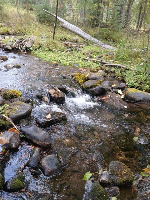Tiny photo for 77 Wildwood Drive, De Borgia, MT 59830 (MLS # 30076326)
