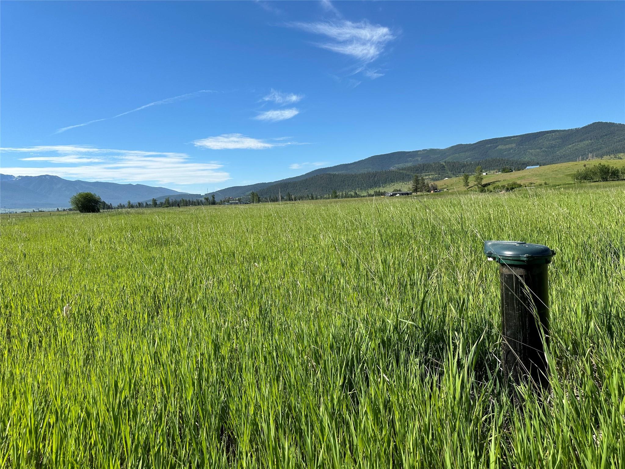 Arlee, Montana 59821, United States, ,Land,Active,175309