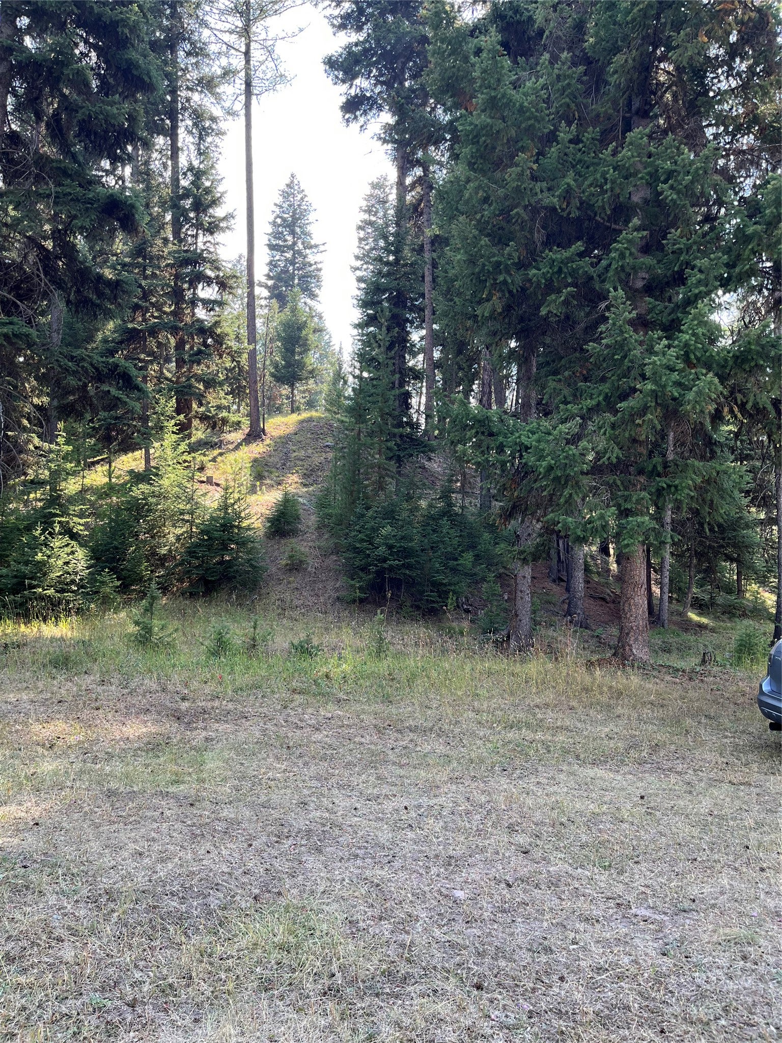 1019 Double Arrow Road