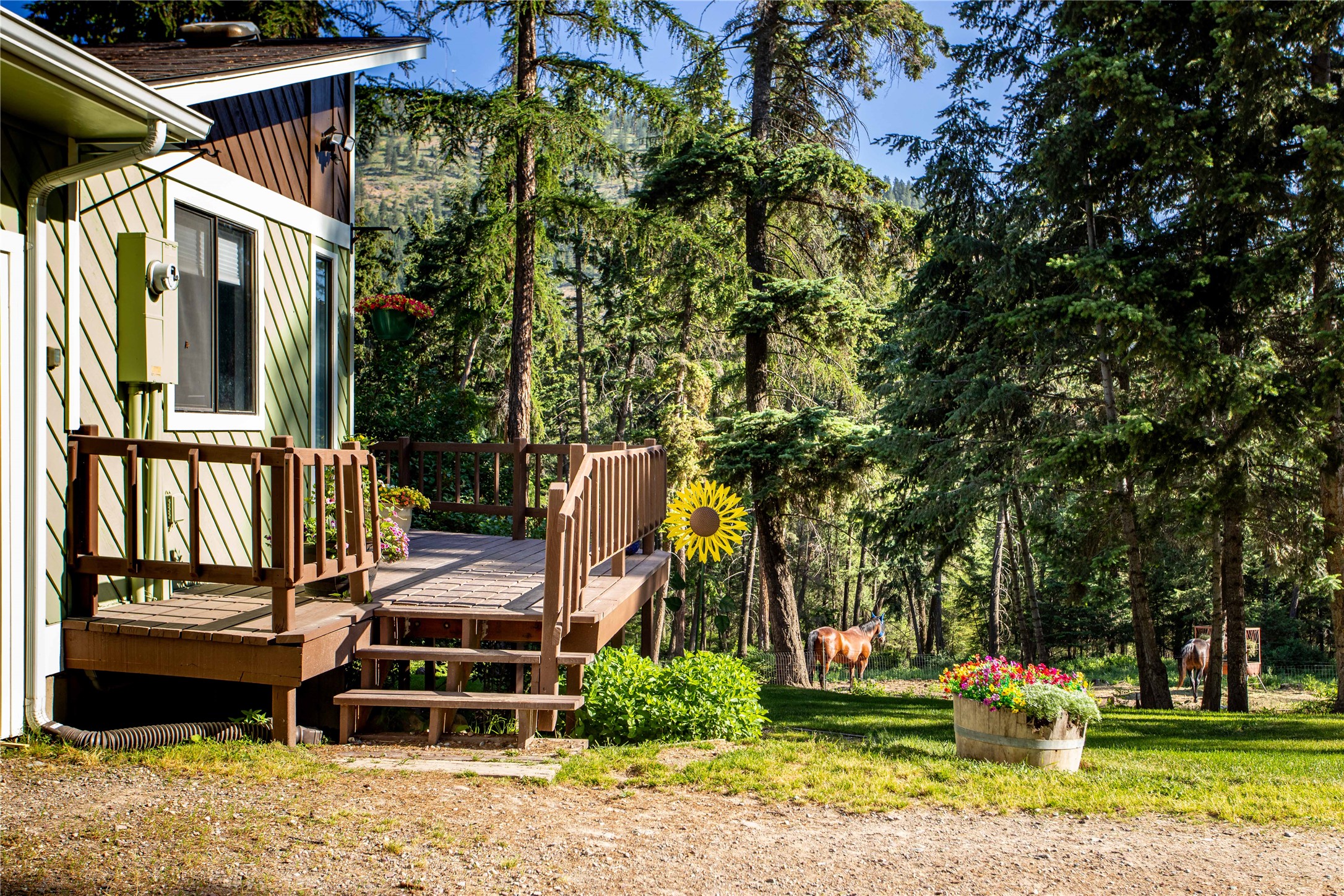 31347 Tamarack Road
