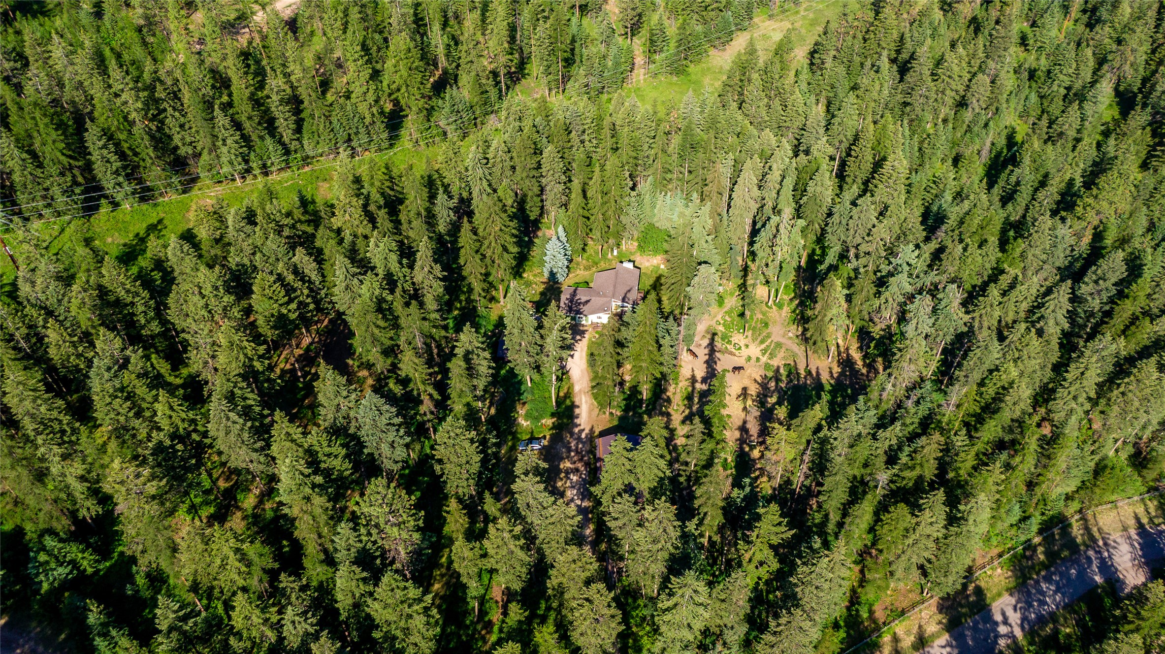 31347 Tamarack Road