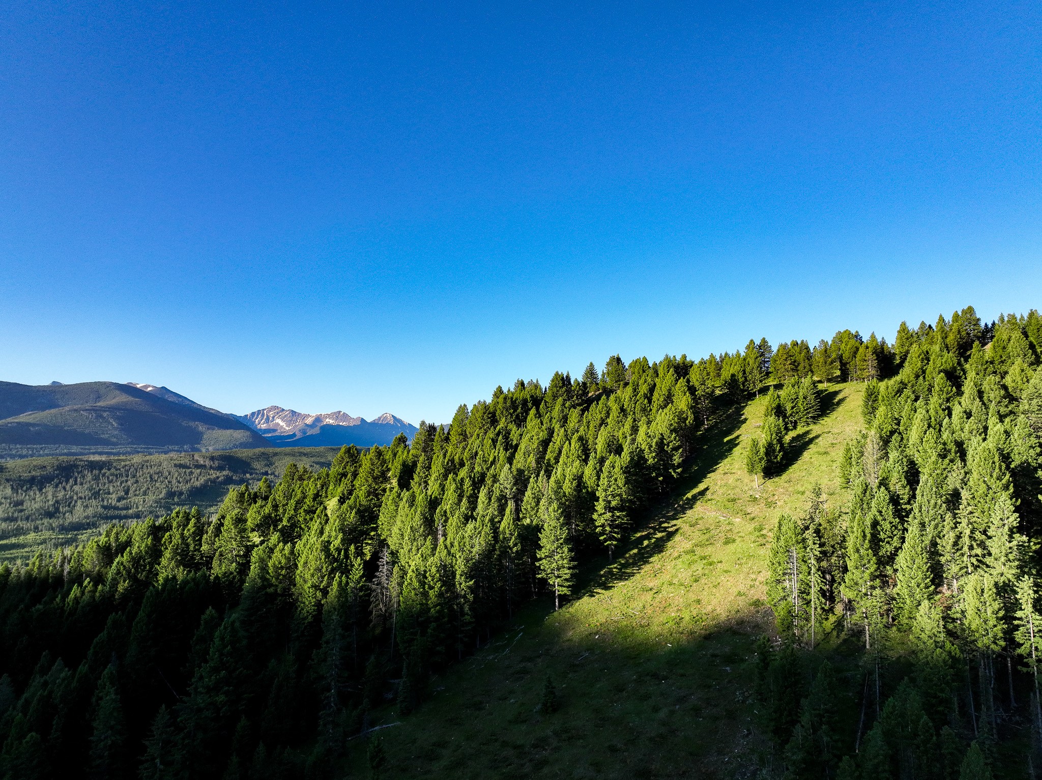 425 Lagger Gulch Road