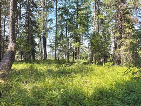 Photo of 825 South Fork Road, Martin City, MT 59926 (MLS # 30075910)