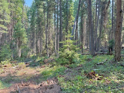 Tiny photo for 825 South Fork Road, Martin City, MT 59926 (MLS # 30075910)