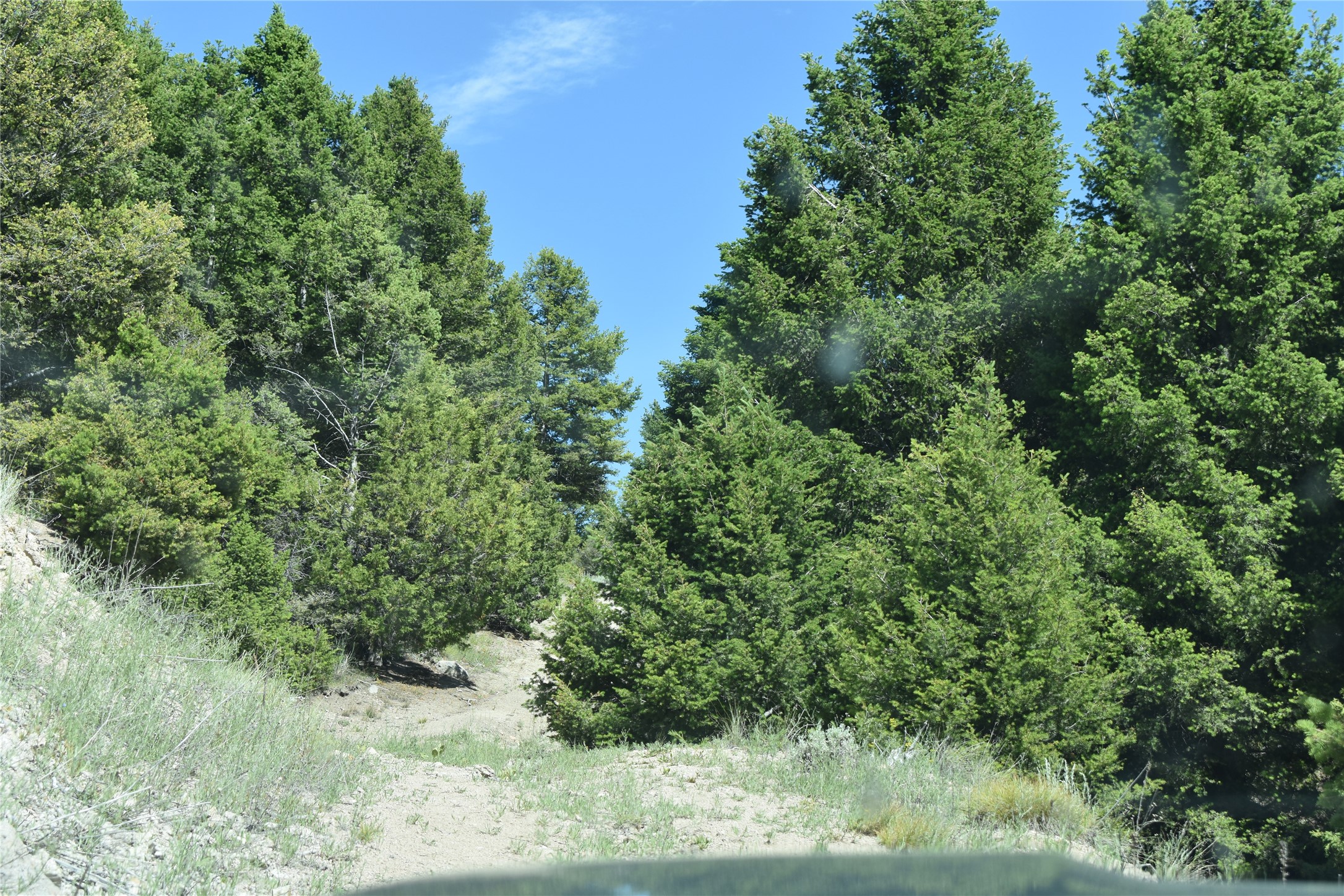 TBD Meadow Gulch Road