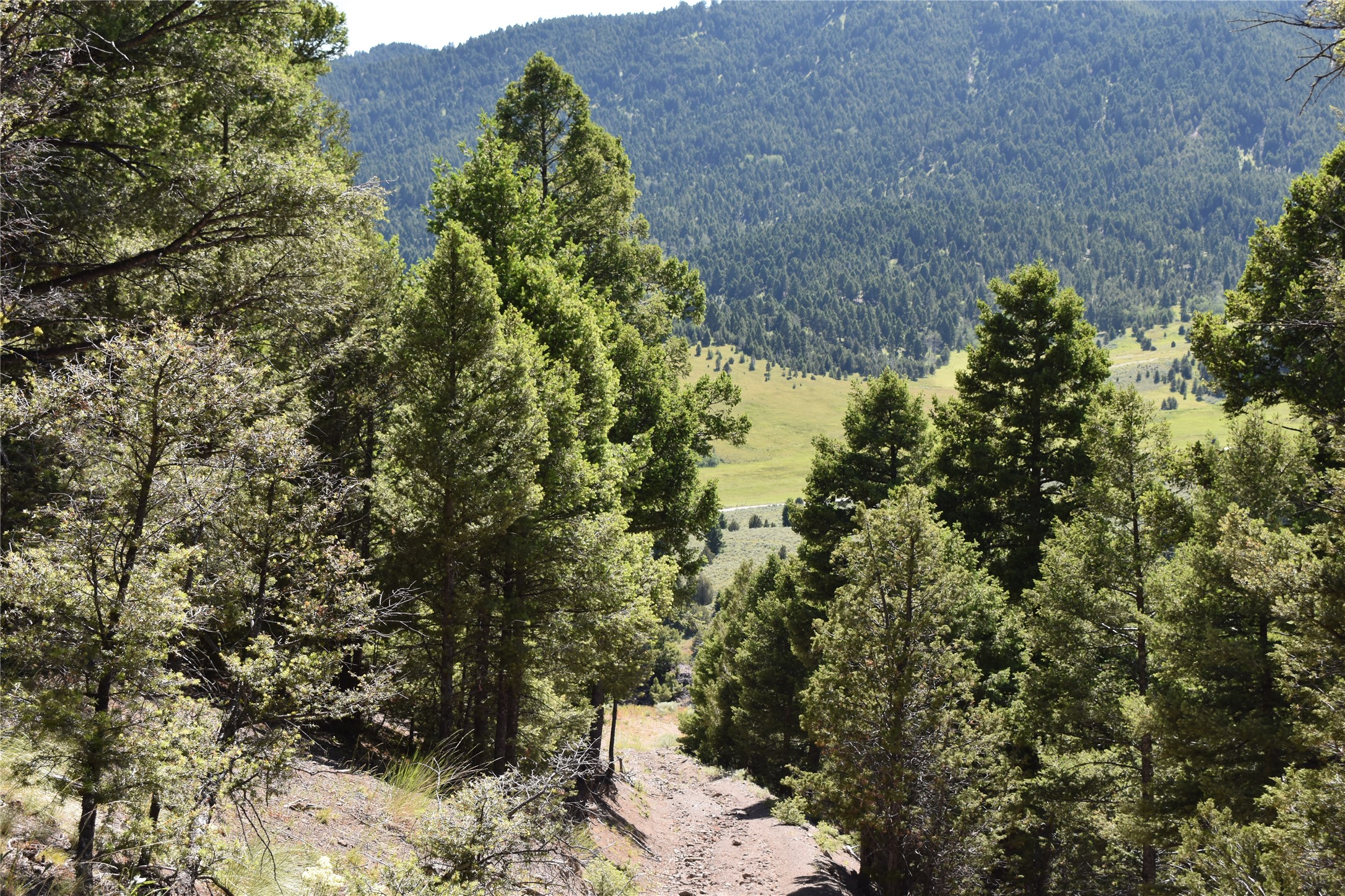 TBD Meadow Gulch Road