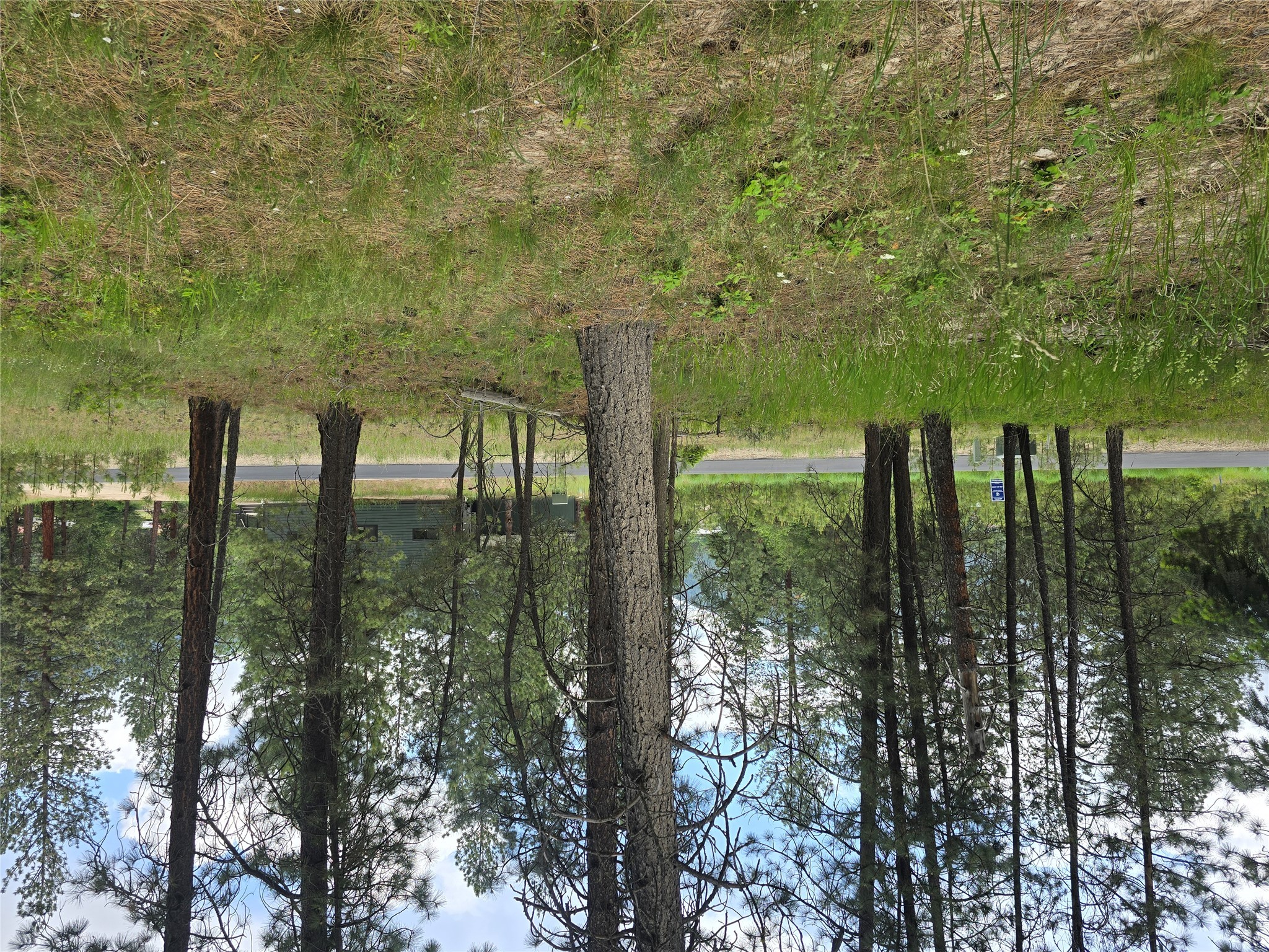 Lot 13 River Run Loop