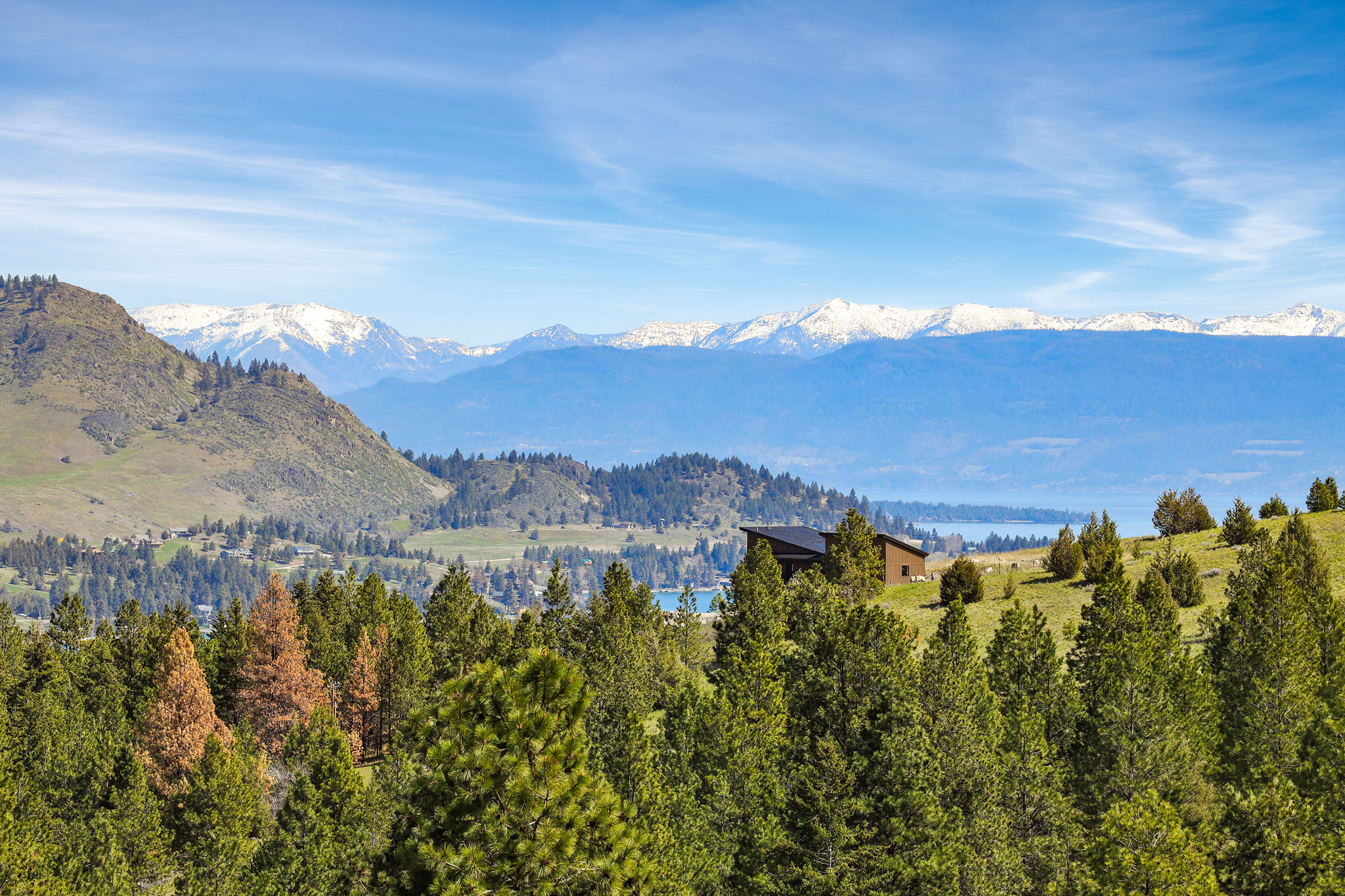 NHN Chief Cliff Lane