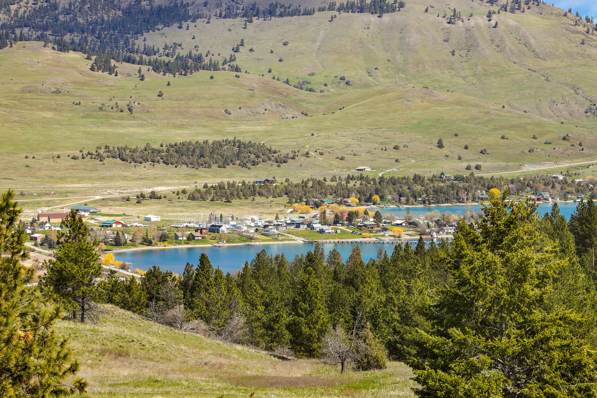 NHN Chief Cliff Lane