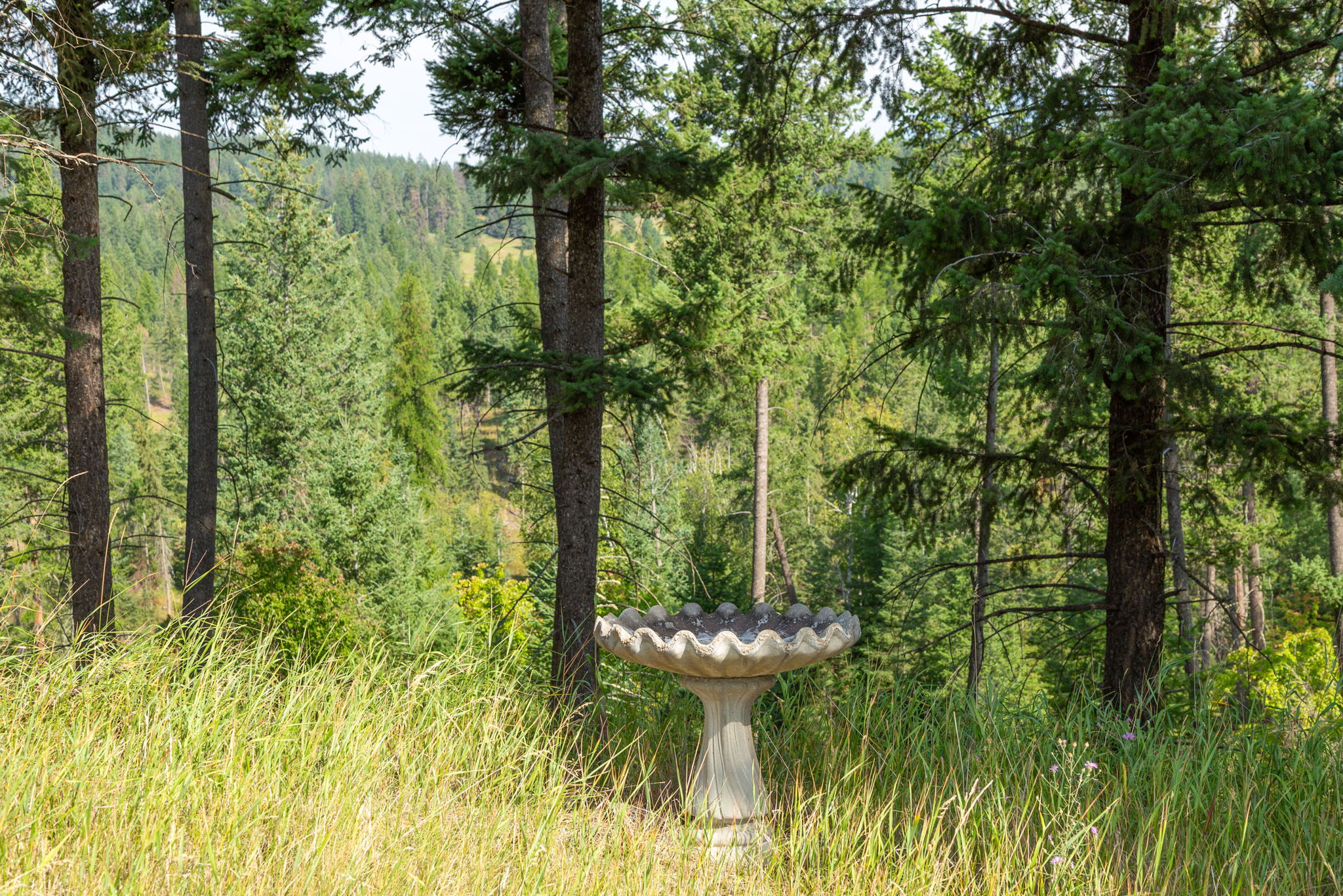 Bigfork, Montana 59911, United States, 5 Bedrooms Bedrooms, ,4 BathroomsBathrooms,Residential,Active,205278