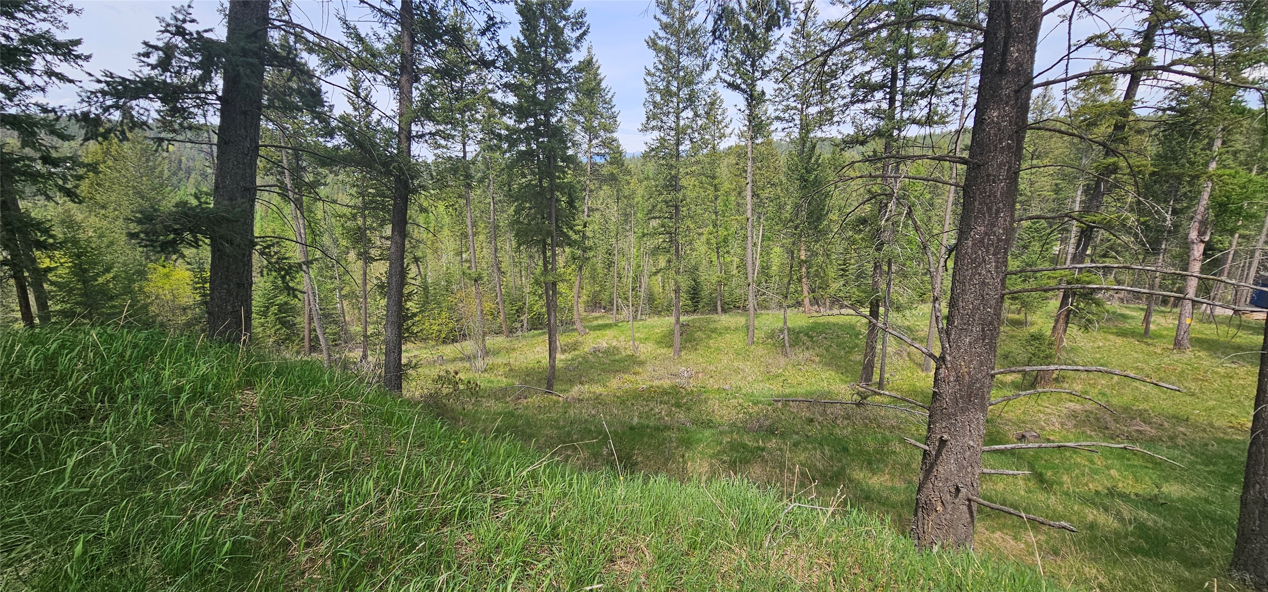 Bigfork, Montana 59911, United States, 5 Bedrooms Bedrooms, ,4 BathroomsBathrooms,Residential,Active,205278