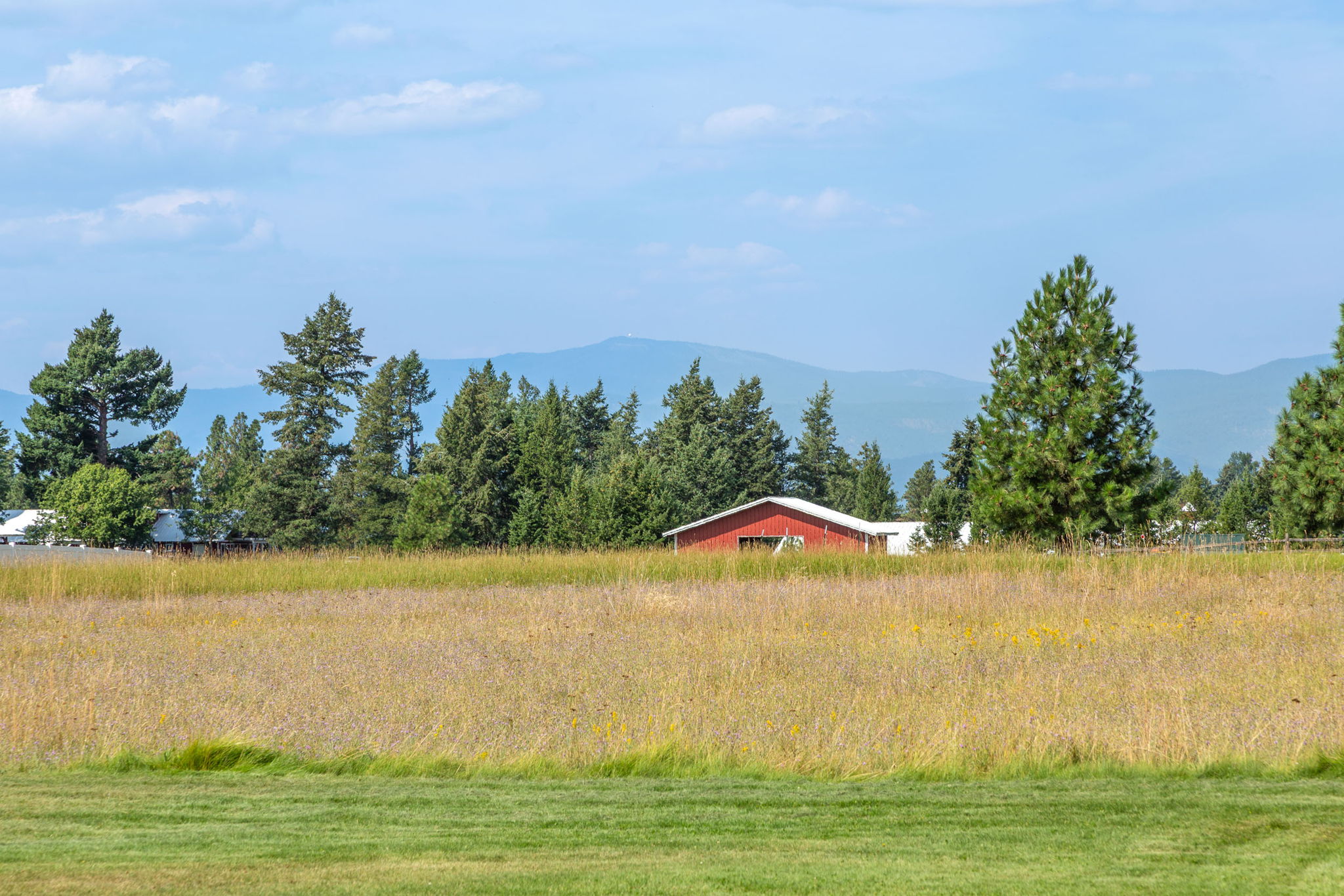 Bigfork, Montana 59911, United States, 5 Bedrooms Bedrooms, ,4 BathroomsBathrooms,Residential,Active,205278