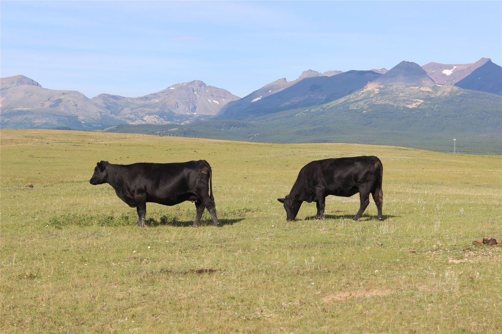 Photo of NHN US Hwy 2, East Glacier Park, MT 59434 (MLS # 30056767)