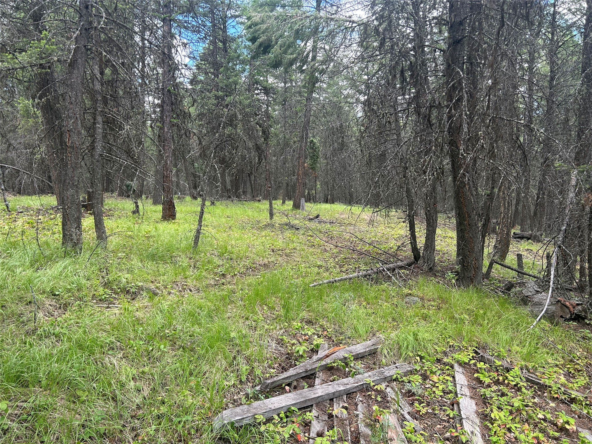 NHN Frank Lake Road