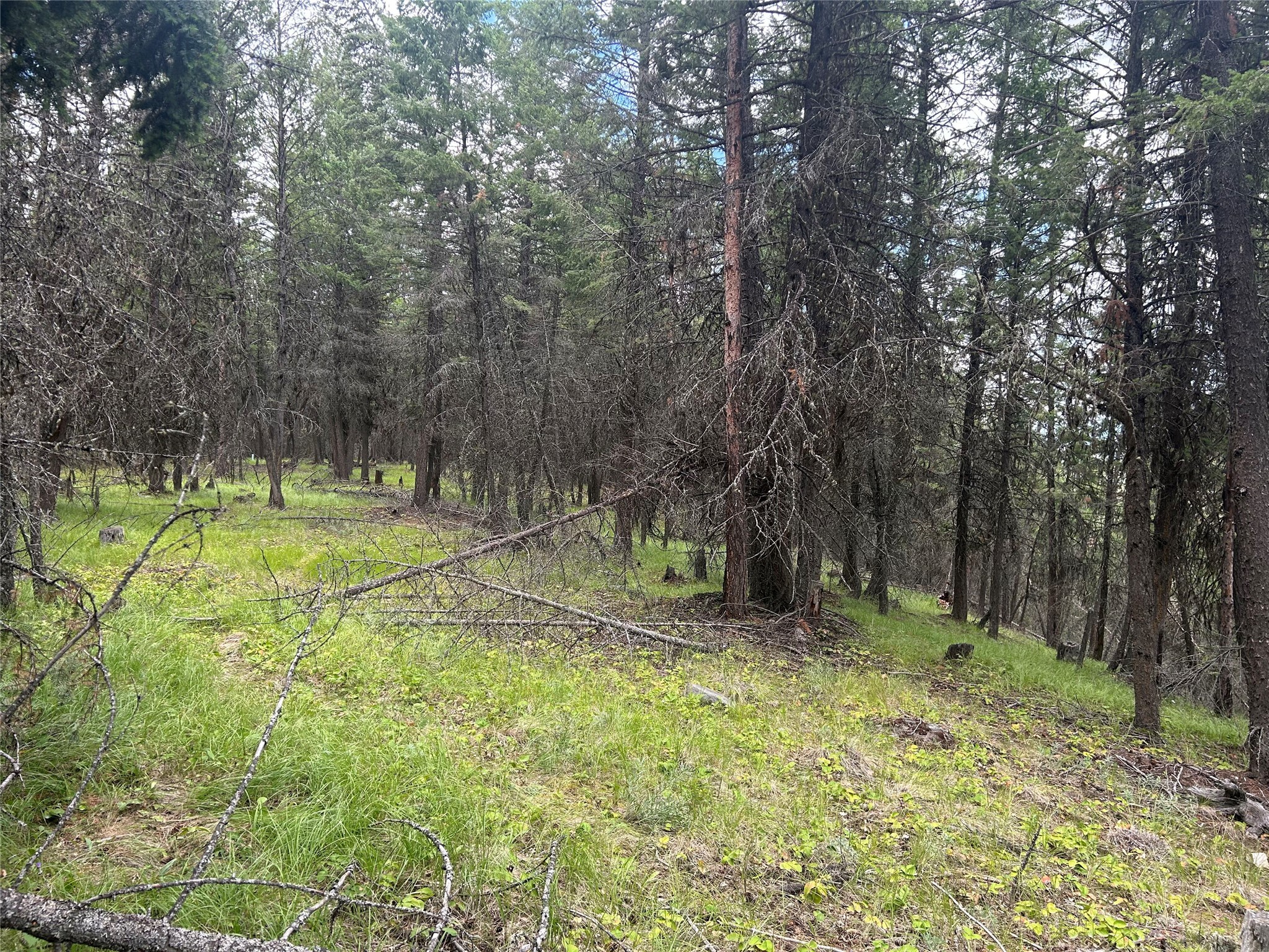 NHN Frank Lake Road