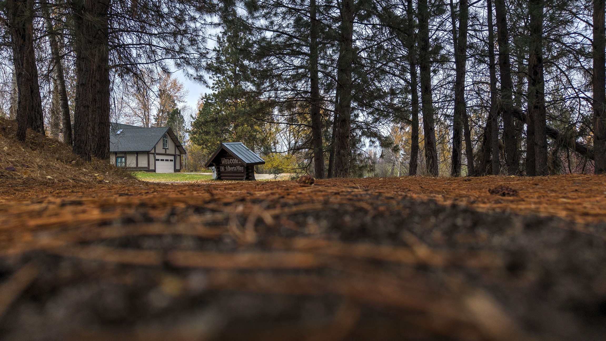116 Alberta Way