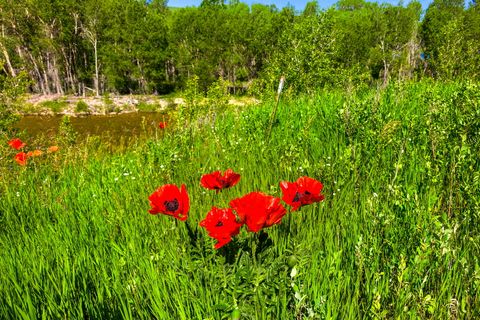 Tiny photo for 120 Armington Road, Belt, MT 59412 (MLS # 30072846)