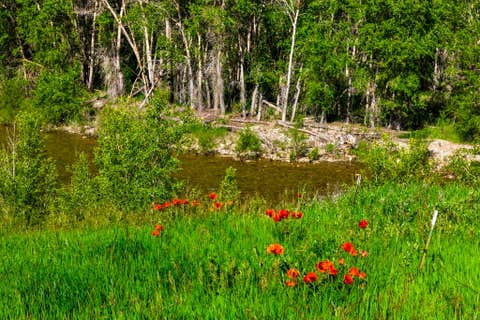 Tiny photo for 120 Armington Road, Belt, MT 59412 (MLS # 30072846)