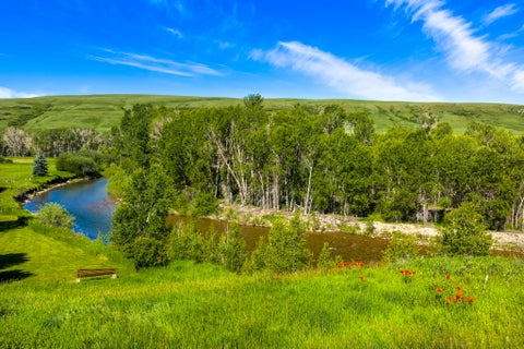Tiny photo for 120 Armington Road, Belt, MT 59412 (MLS # 30072846)