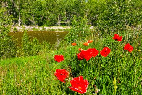 Tiny photo for 120 Armington Road, Belt, MT 59412 (MLS # 30072846)