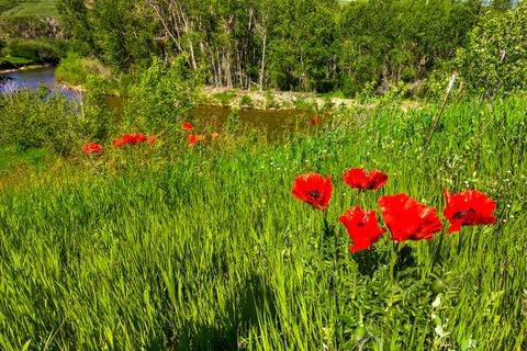 Tiny photo for 120 Armington Road, Belt, MT 59412 (MLS # 30072846)