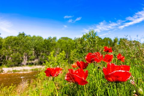Tiny photo for 120 Armington Road, Belt, MT 59412 (MLS # 30072846)