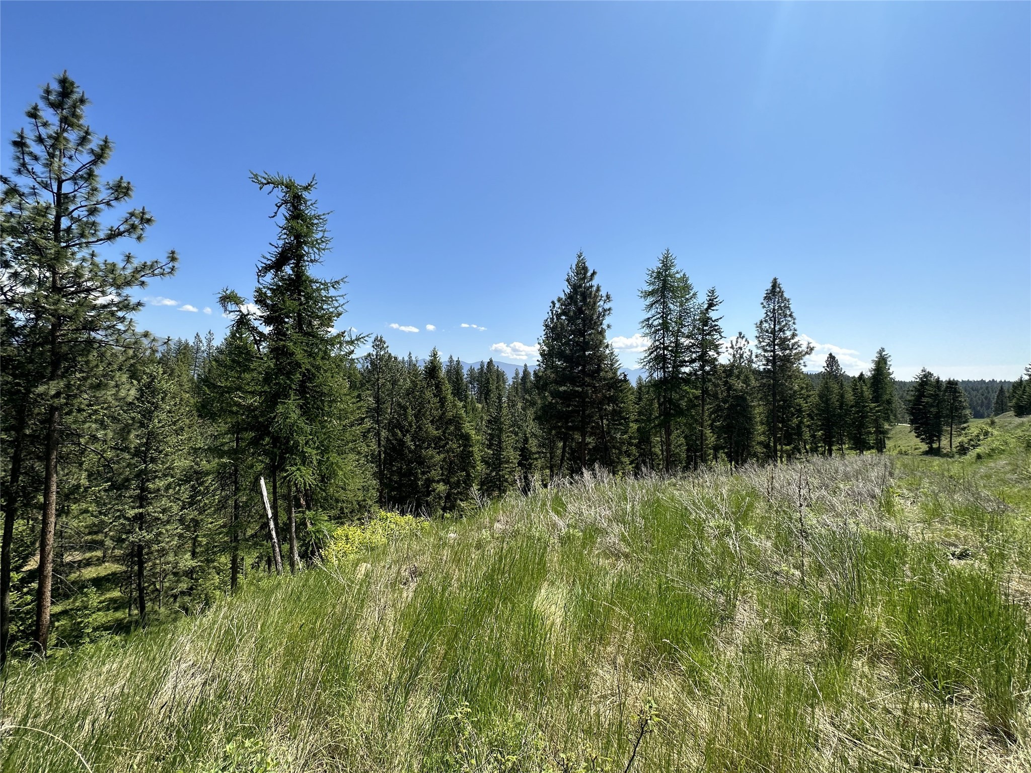 Lot 32 Hillandale Trail