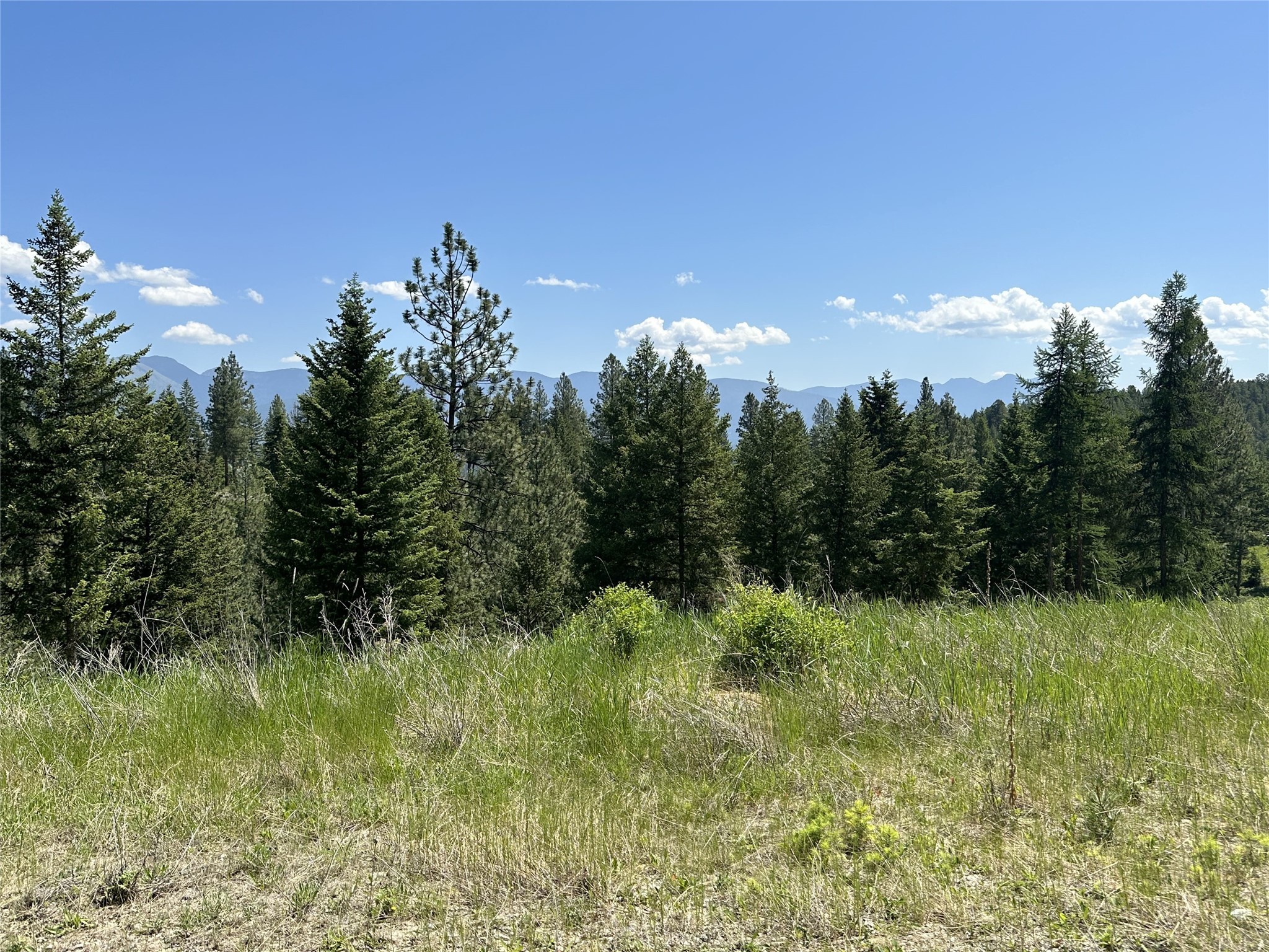 Lot 32 Hillandale Trail
