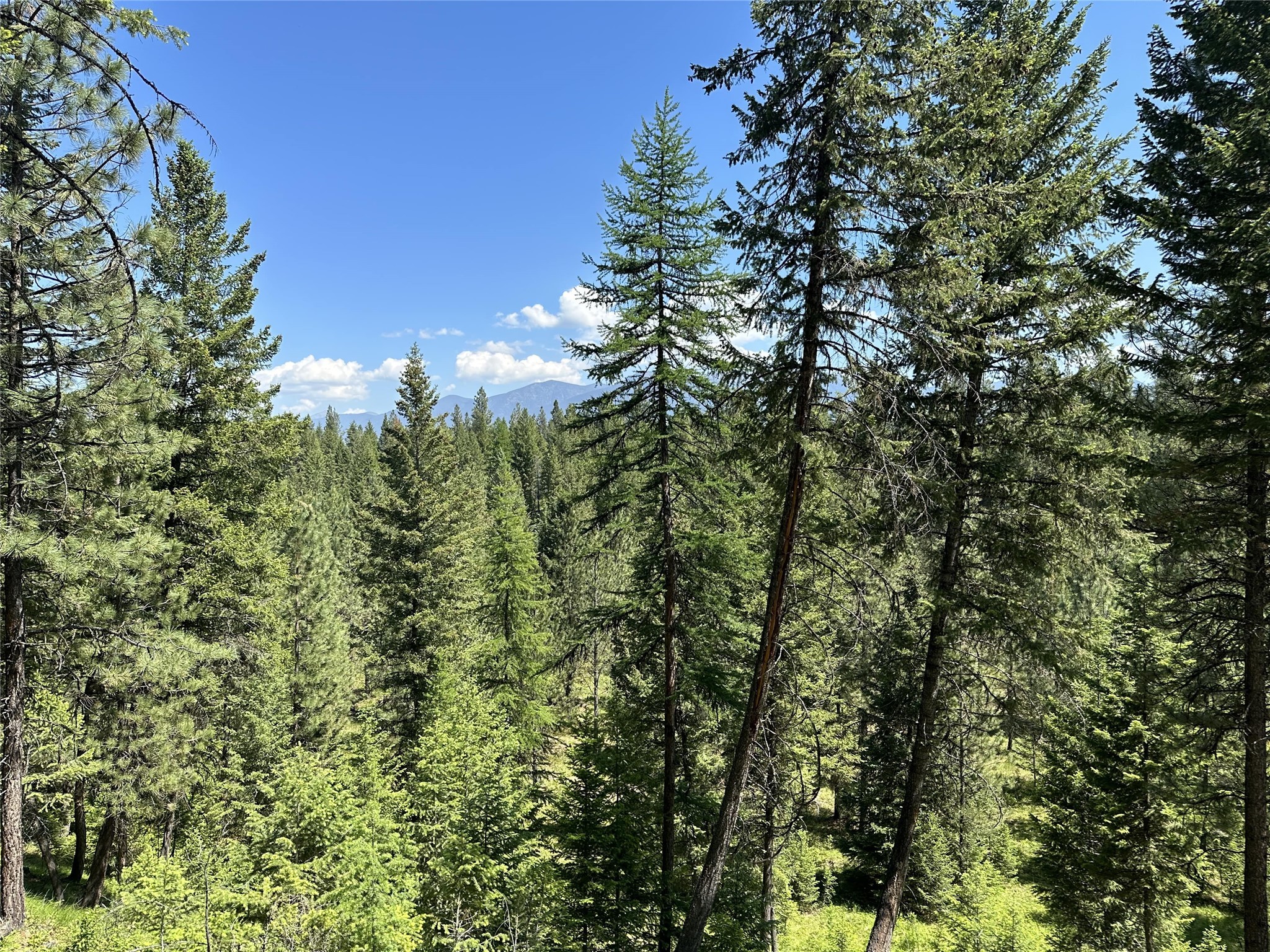 Lot 32 Hillandale Trail