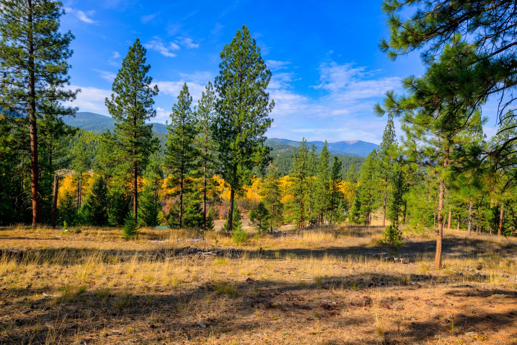 Huson, Montana 59846, United States, 3 Bedrooms Bedrooms, ,2 BathroomsBathrooms,Residential,Pending,81690