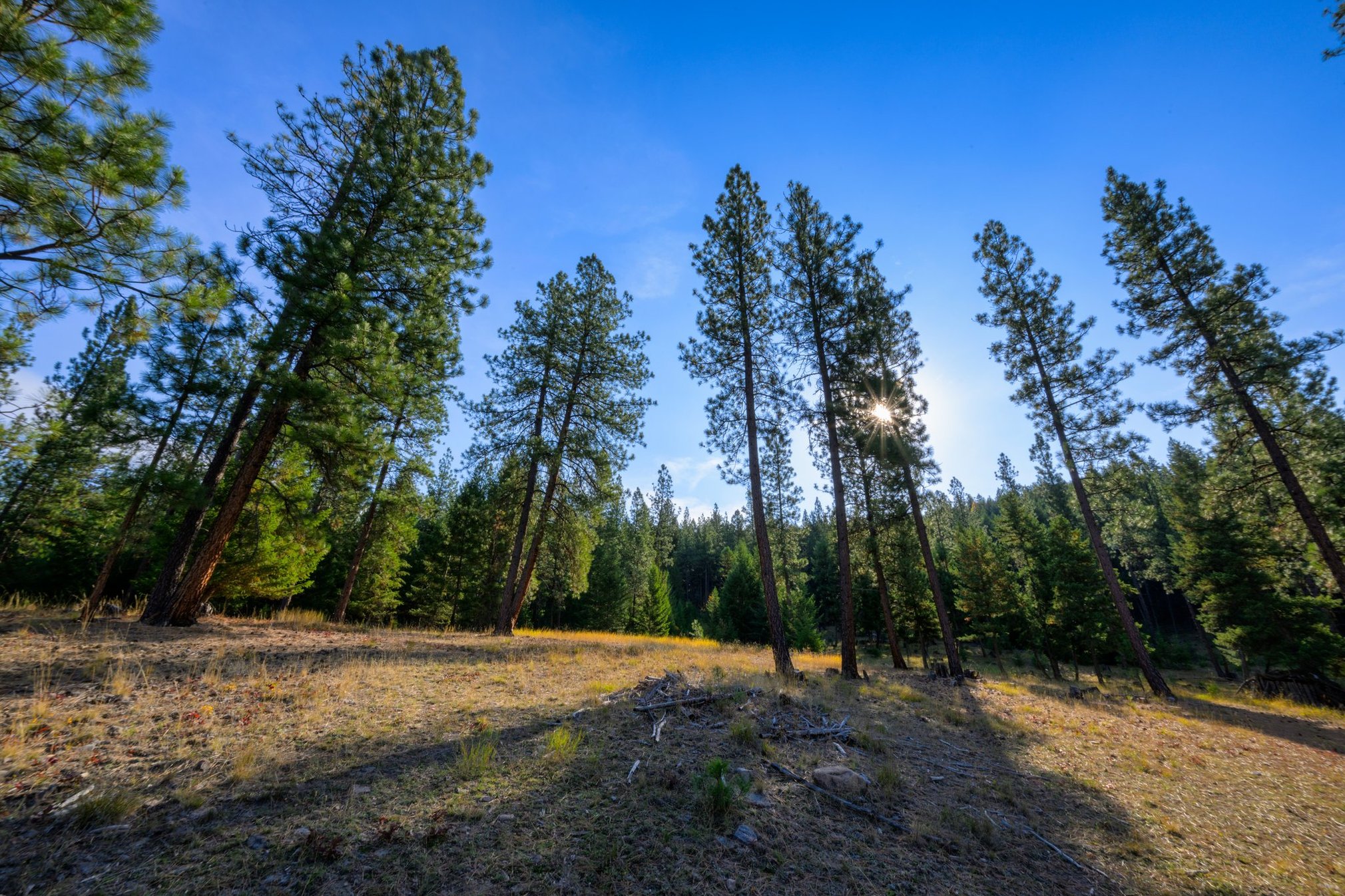 Huson, Montana 59846, United States, 3 Bedrooms Bedrooms, ,2 BathroomsBathrooms,Residential,Pending,81690