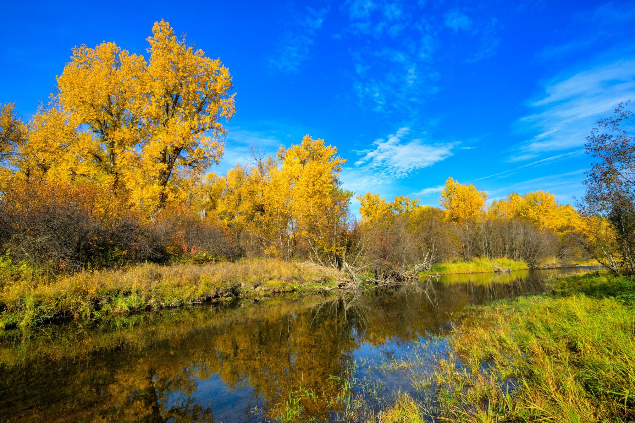 Huson, Montana 59846, United States, 3 Bedrooms Bedrooms, ,2 BathroomsBathrooms,Residential,Pending,81690