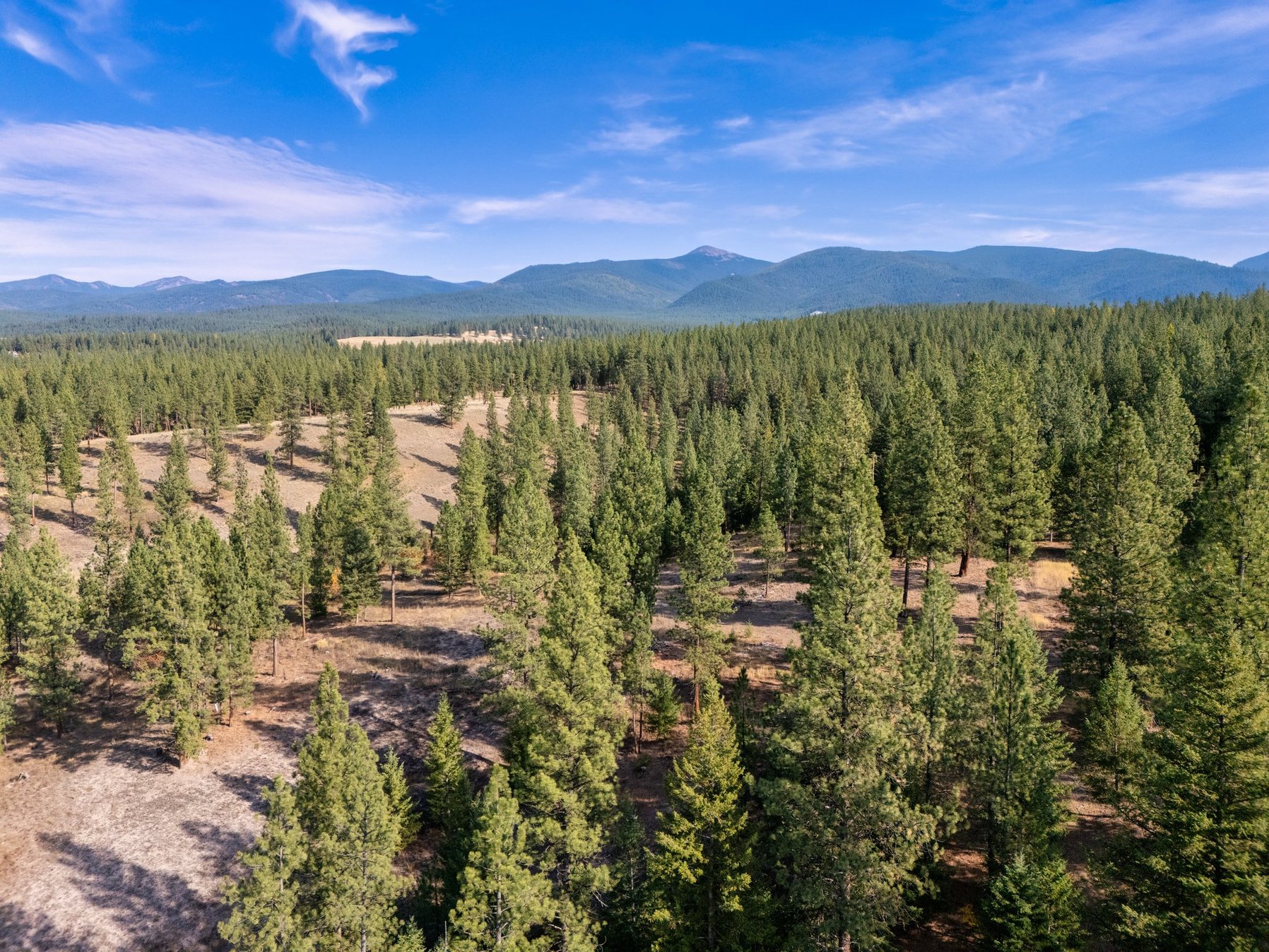 Huson, Montana 59846, United States, 3 Bedrooms Bedrooms, ,2 BathroomsBathrooms,Residential,Pending,81690