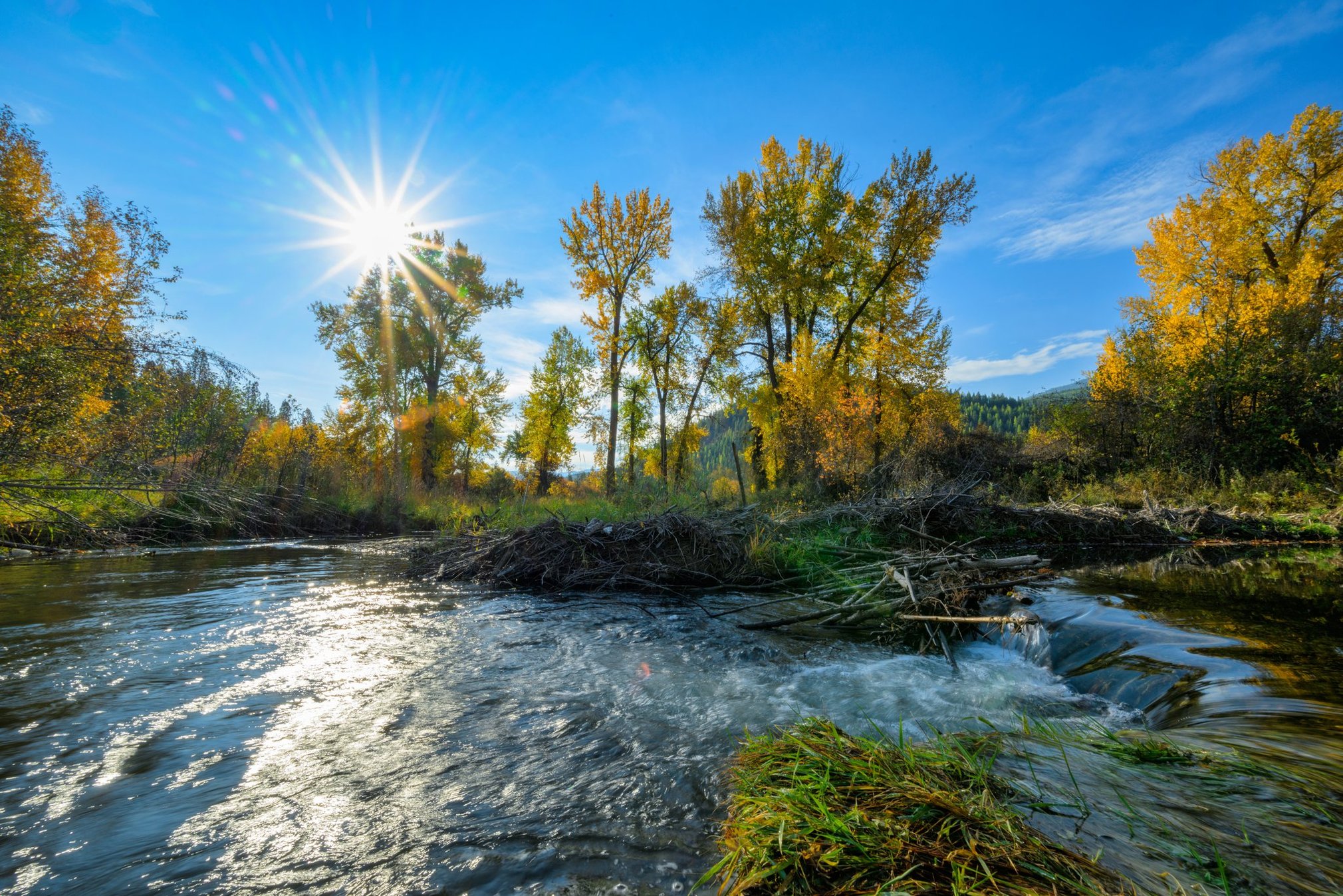 Huson, Montana 59846, United States, 3 Bedrooms Bedrooms, ,2 BathroomsBathrooms,Residential,Pending,81690